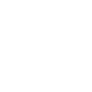 aixam blanc