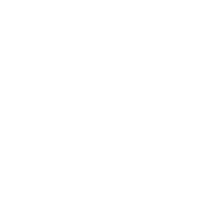 audi blanc