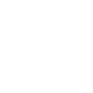 bmw blanc
