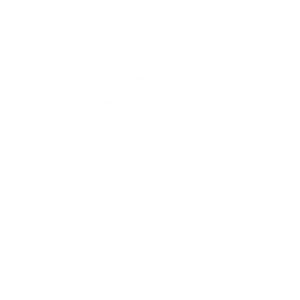 citroen blanc