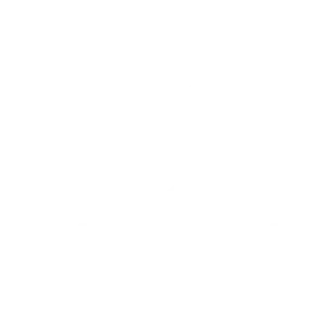 ds blanc