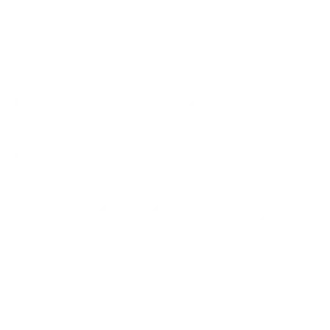 dacia blanc
