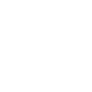 fiat blanc