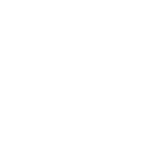 ford blanc