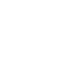 honda blanc