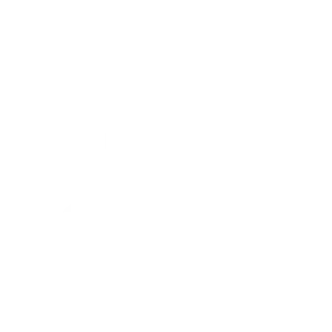 lexus blanc