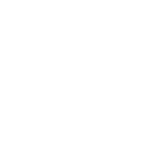 nissan blanc