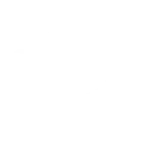 opel blanc