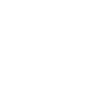 renault blanc