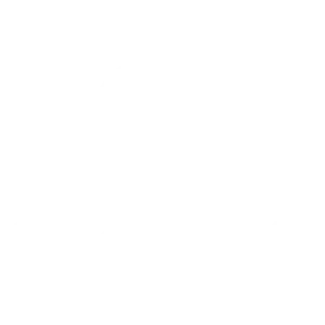skoda blanc
