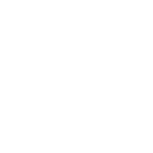 suzuki blanc