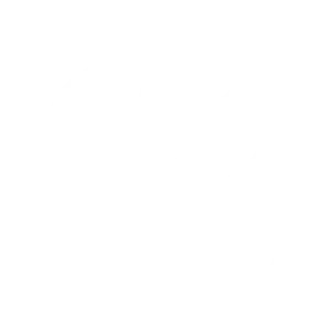 toyota blanc