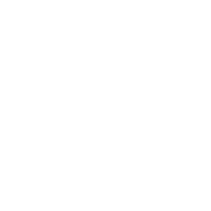 volkswagen blanc